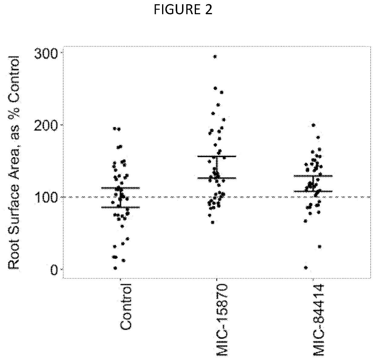 Endophyte compositions and the methods for improvement of plant traits