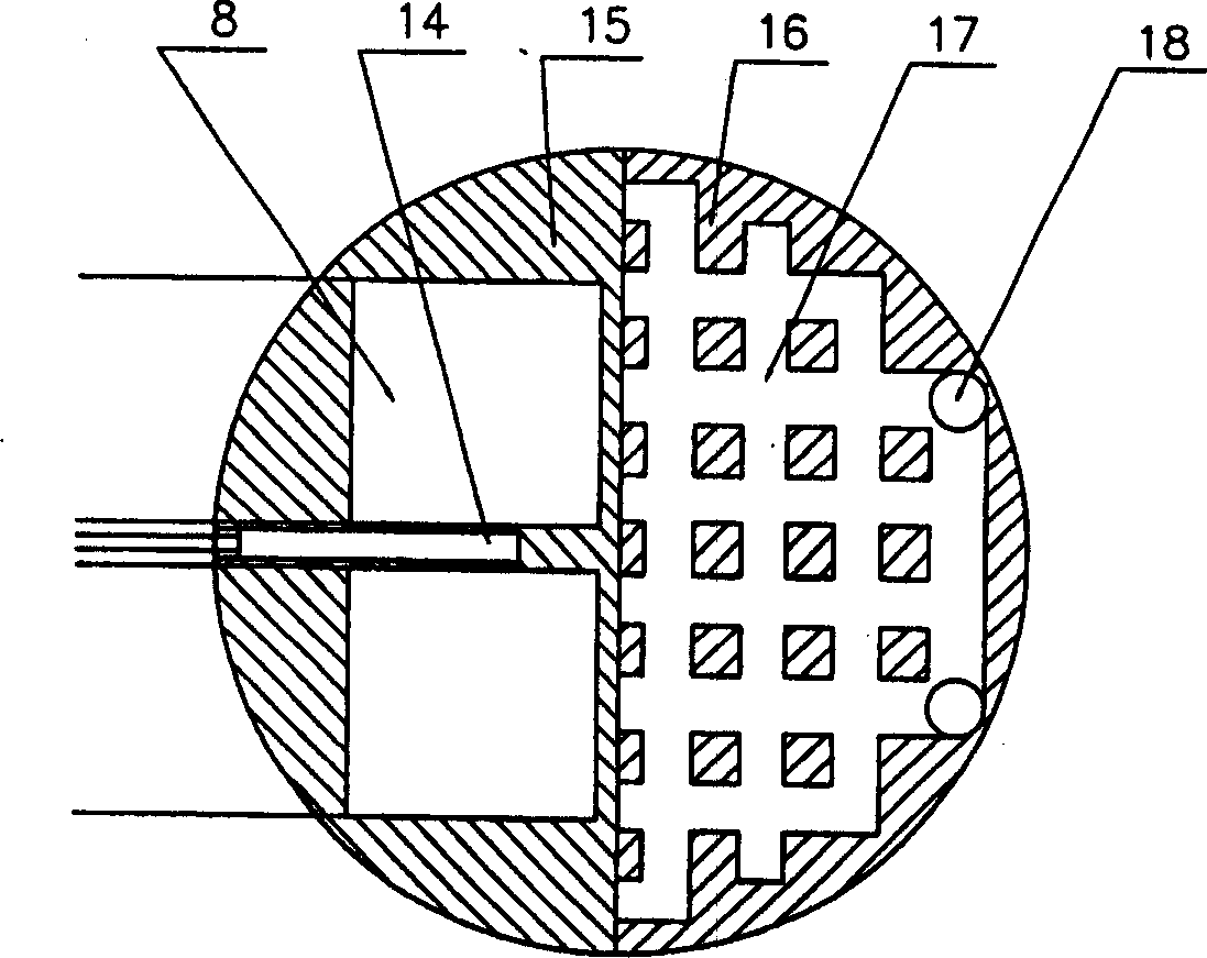 Peltier heat circulation nano impressing device