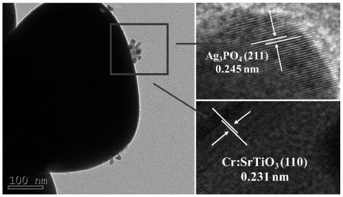 Silver phosphate composite photocatalyst for treating rose bengal B in high-salt wastewater and preparation method and application of photocatalyst