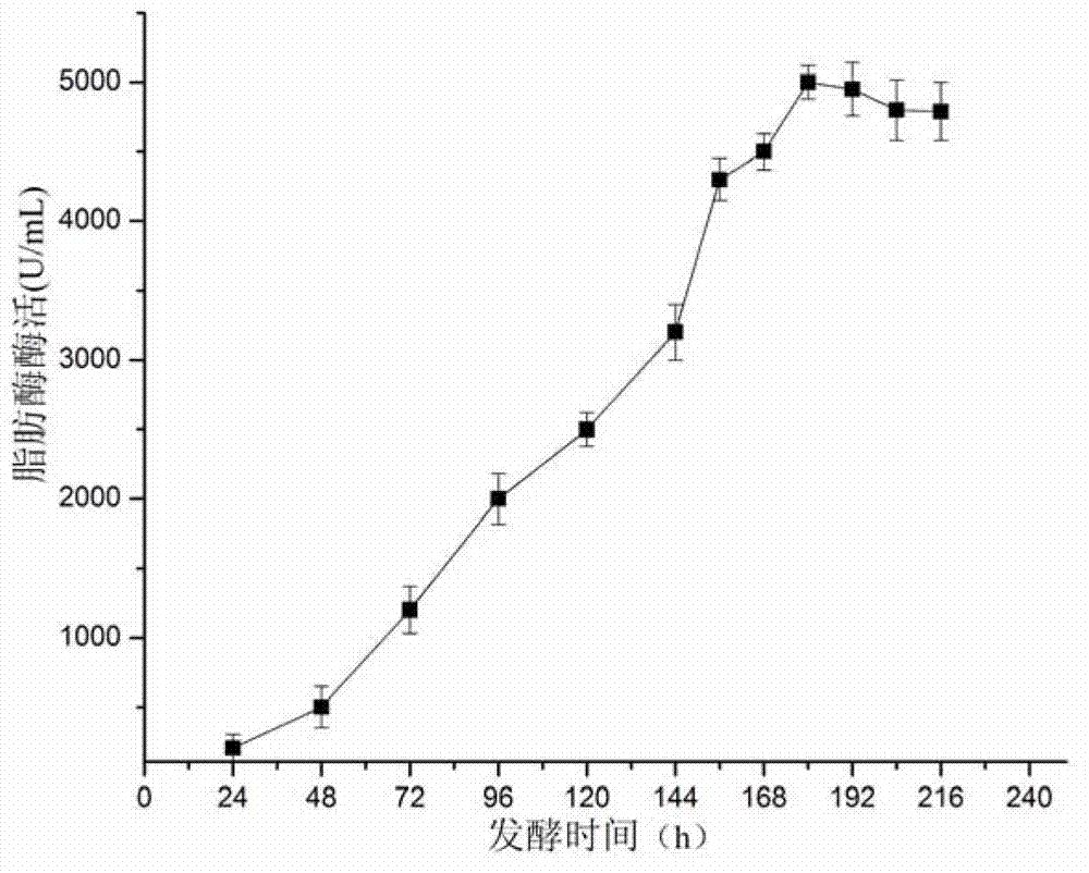 Lipase LIP, gene and application thereof