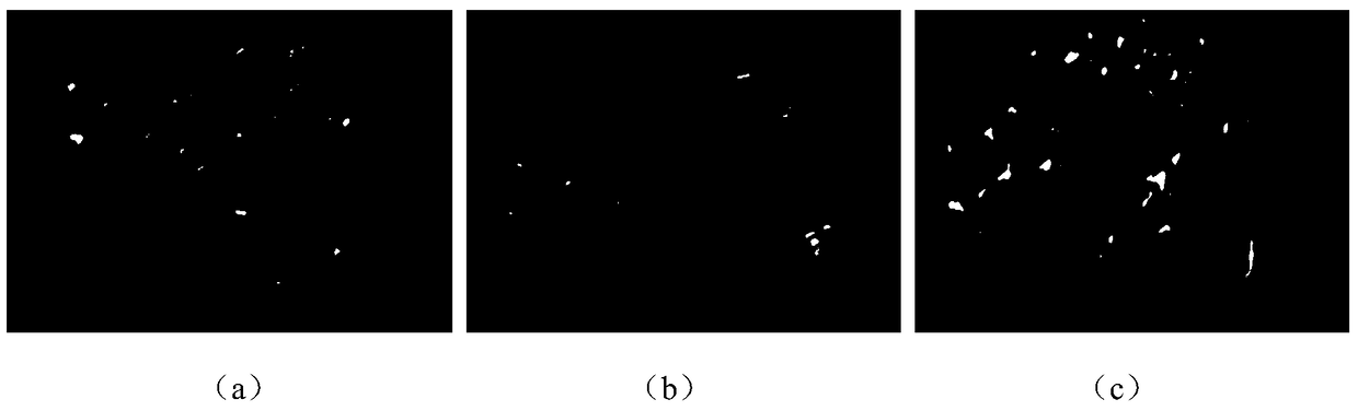 Application of peptide mdp-1 in the preparation of anti-osteoporosis drugs