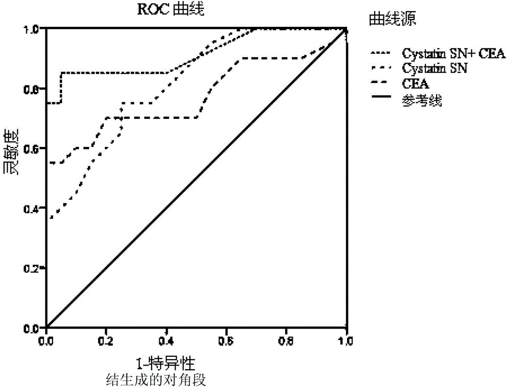 Combined application of cystatin SN and carcino-embryonic antigen