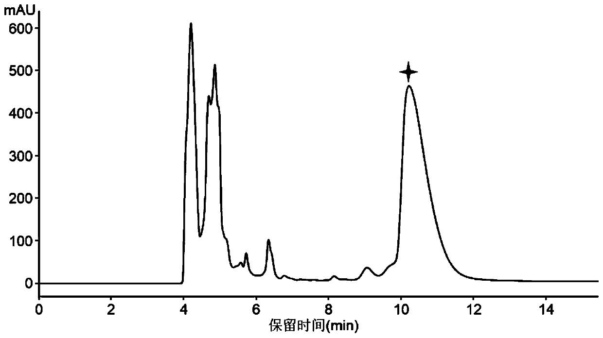 Antibacterial peptide lexapeptide and its preparation method and use