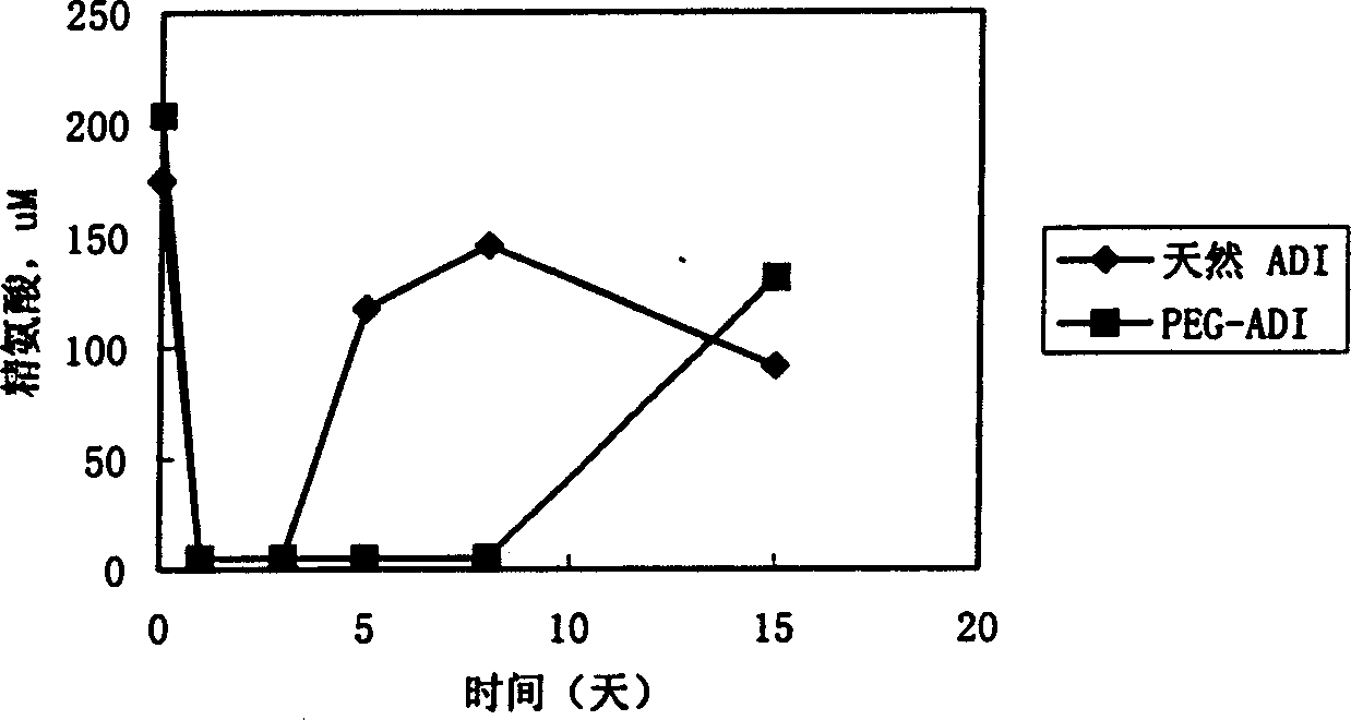 Modified arginine deiminase