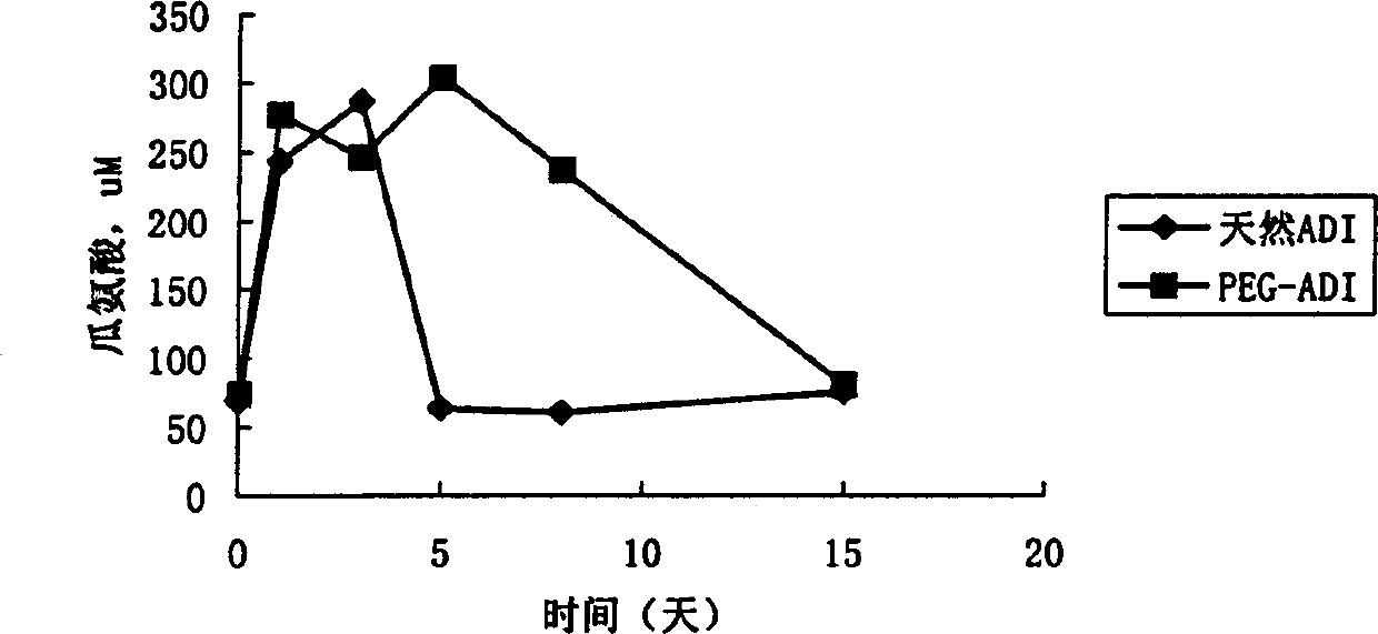 Modified arginine deiminase