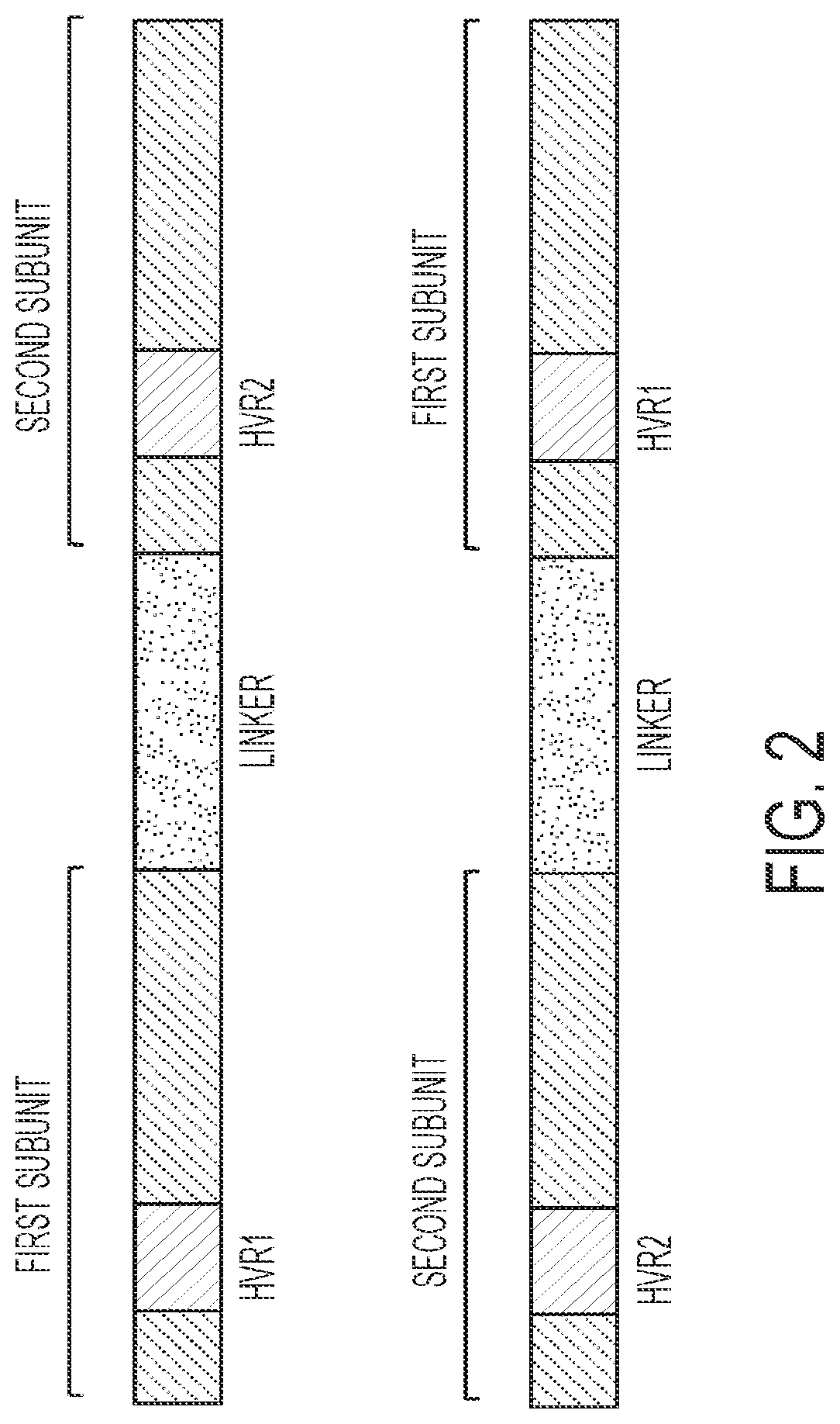 Engineered meganucleases with recognition sequences found in the human beta-2 microglobulin gene