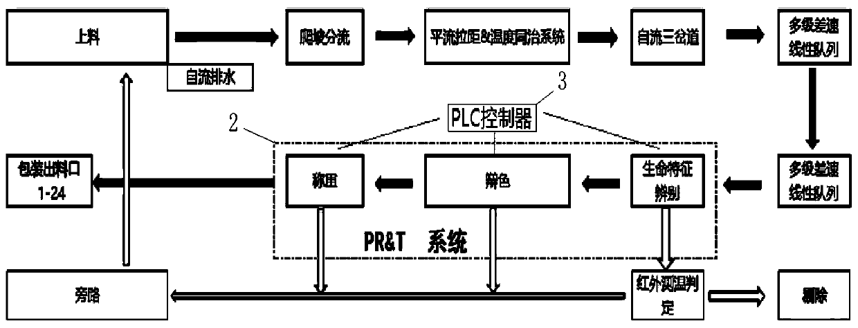 Crayfish sorting and digital analysis system and crayfish sorting method