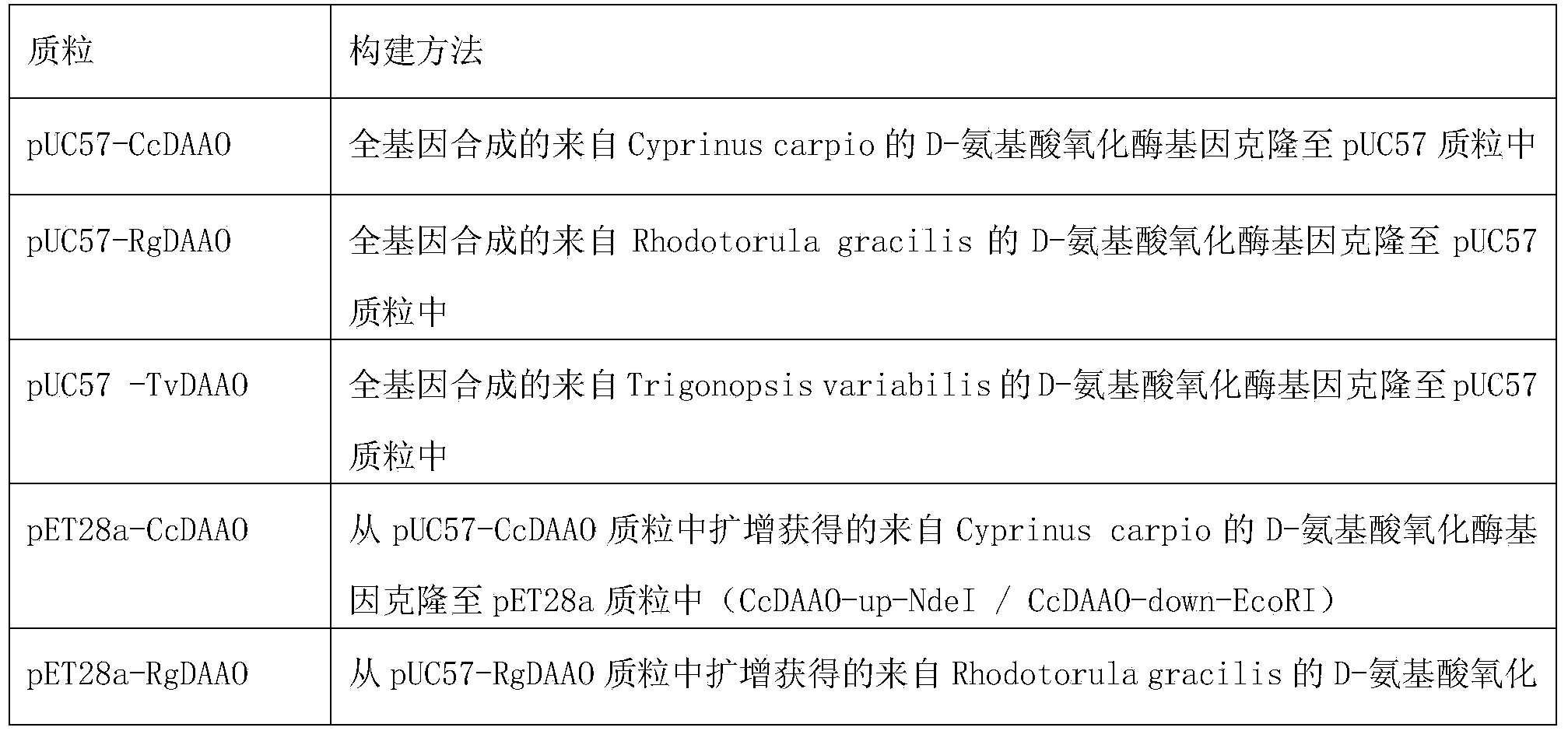 Bacterial strain of producing pyruvic acid and construction method of bacterial strain