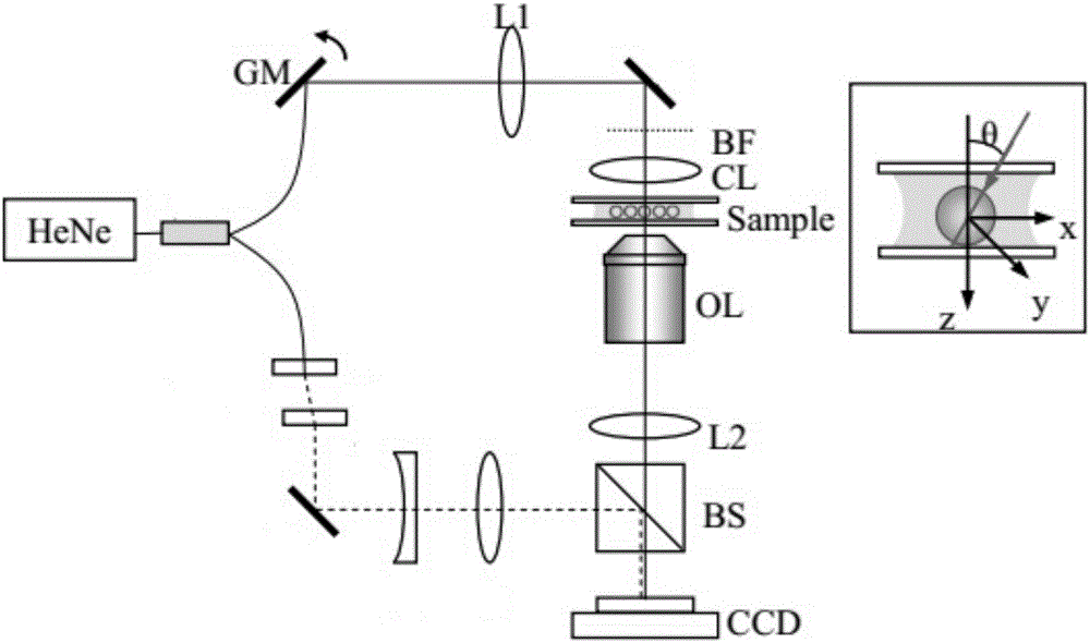 TV constraint based tomography phase microscope reconstruction method