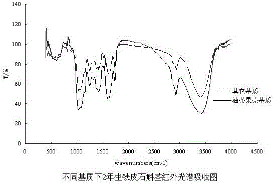 Dendrobium cultivation matrix and preparation method thereof