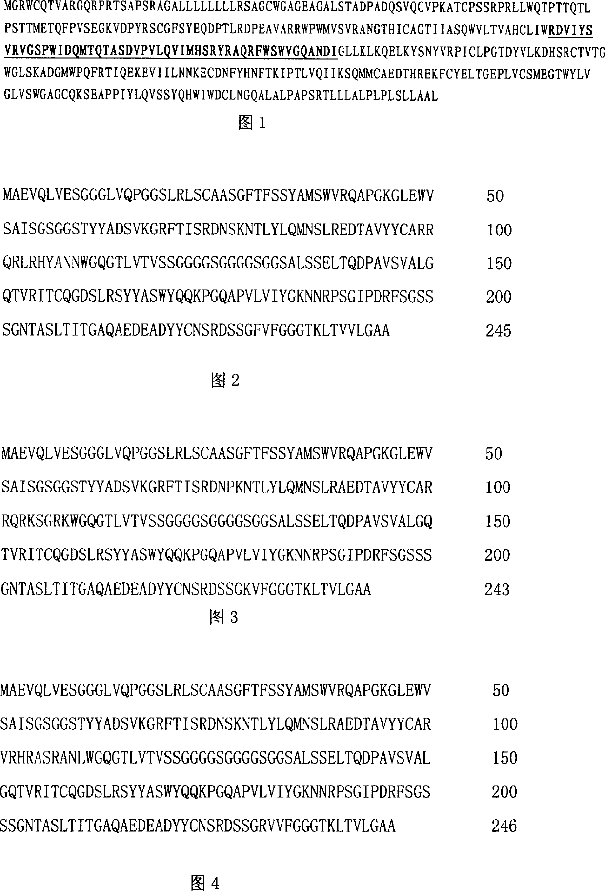 Preparation and use of testes specificity protein 50 human source antibody