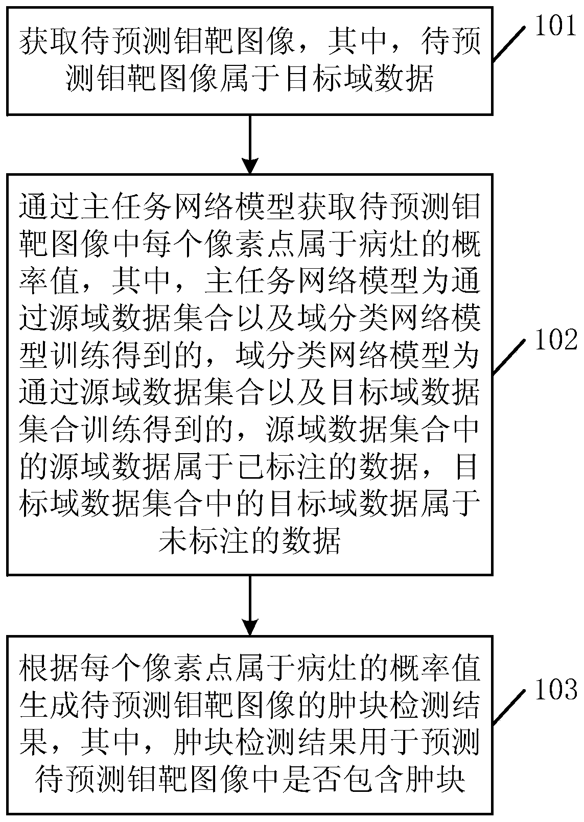 Medical image-based focus detection method, model training method and model training device