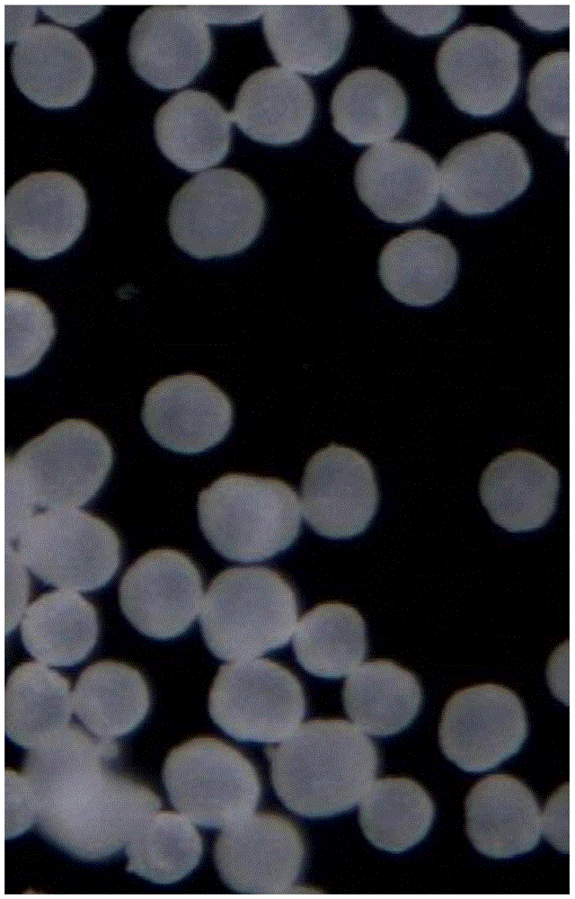 A kind of preparation method of clopidogrel bisulfate I crystal form spherical crystal