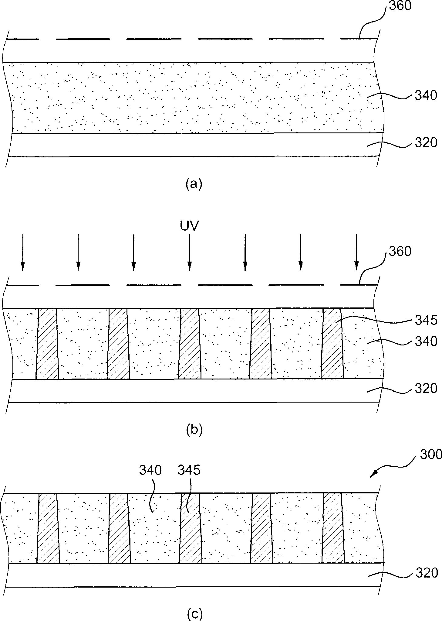 External light blocking film for display device, filter for display device having the same, and method of fabricating the same