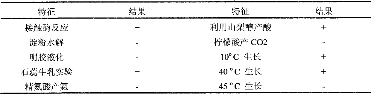 Method for screening lactic acid bacteria producing gamma-amino butyric acid