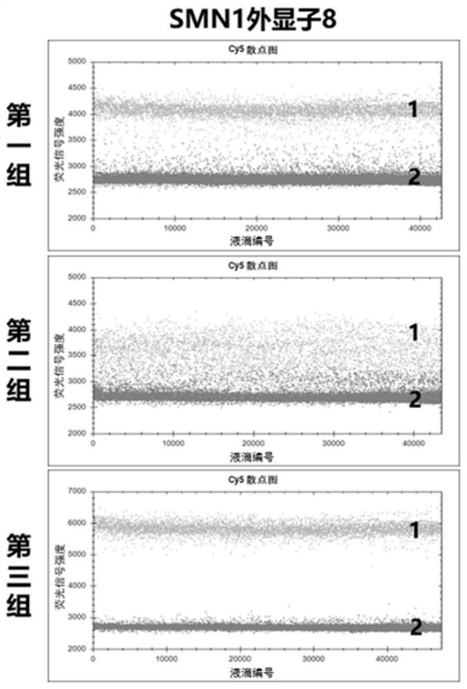 Digital PCR kit for detecting spinal muscular atrophy and application thereof