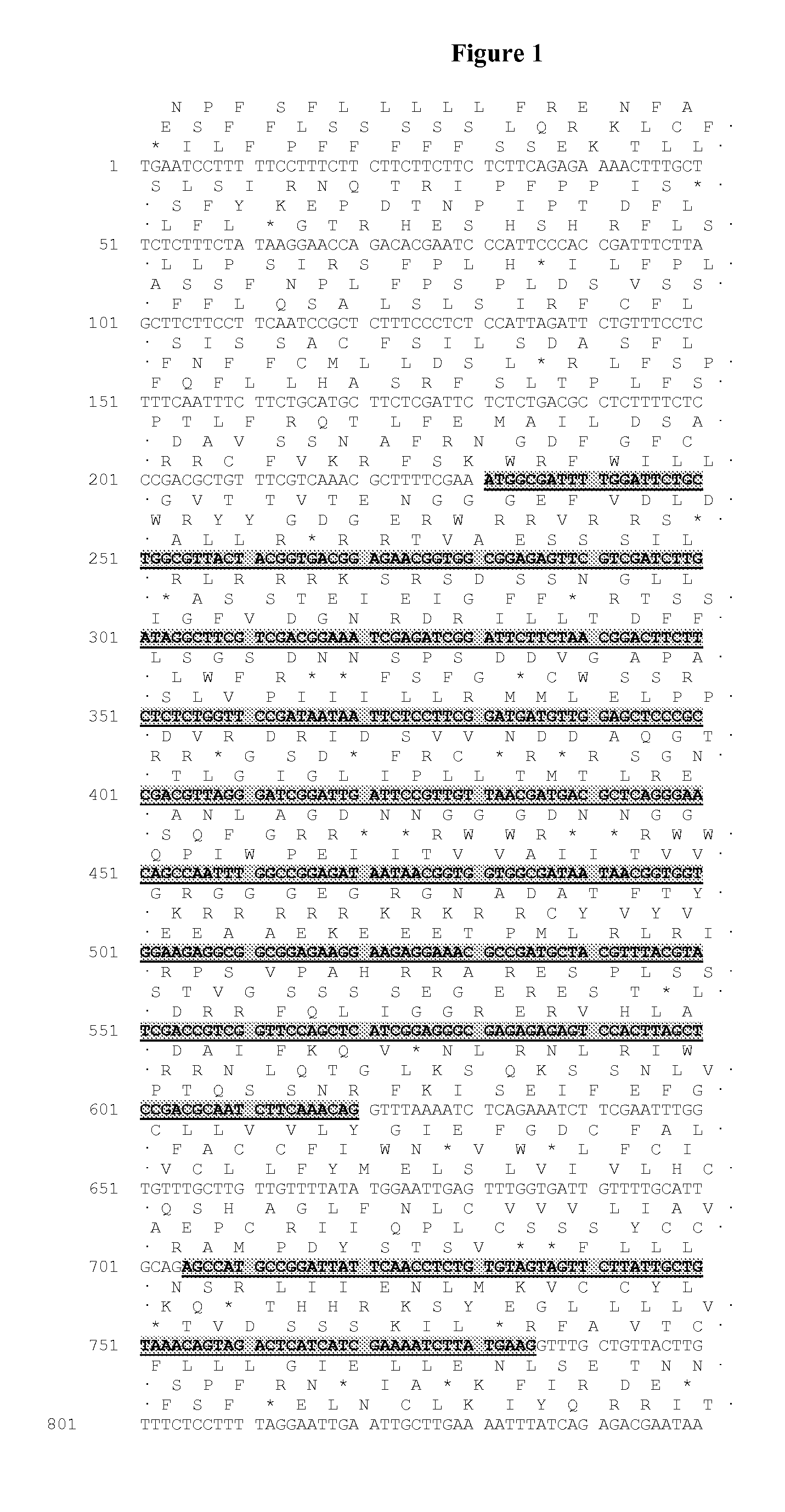 Novel Acyltransferase Polynucleotides, Polypeptides and Methods of Use