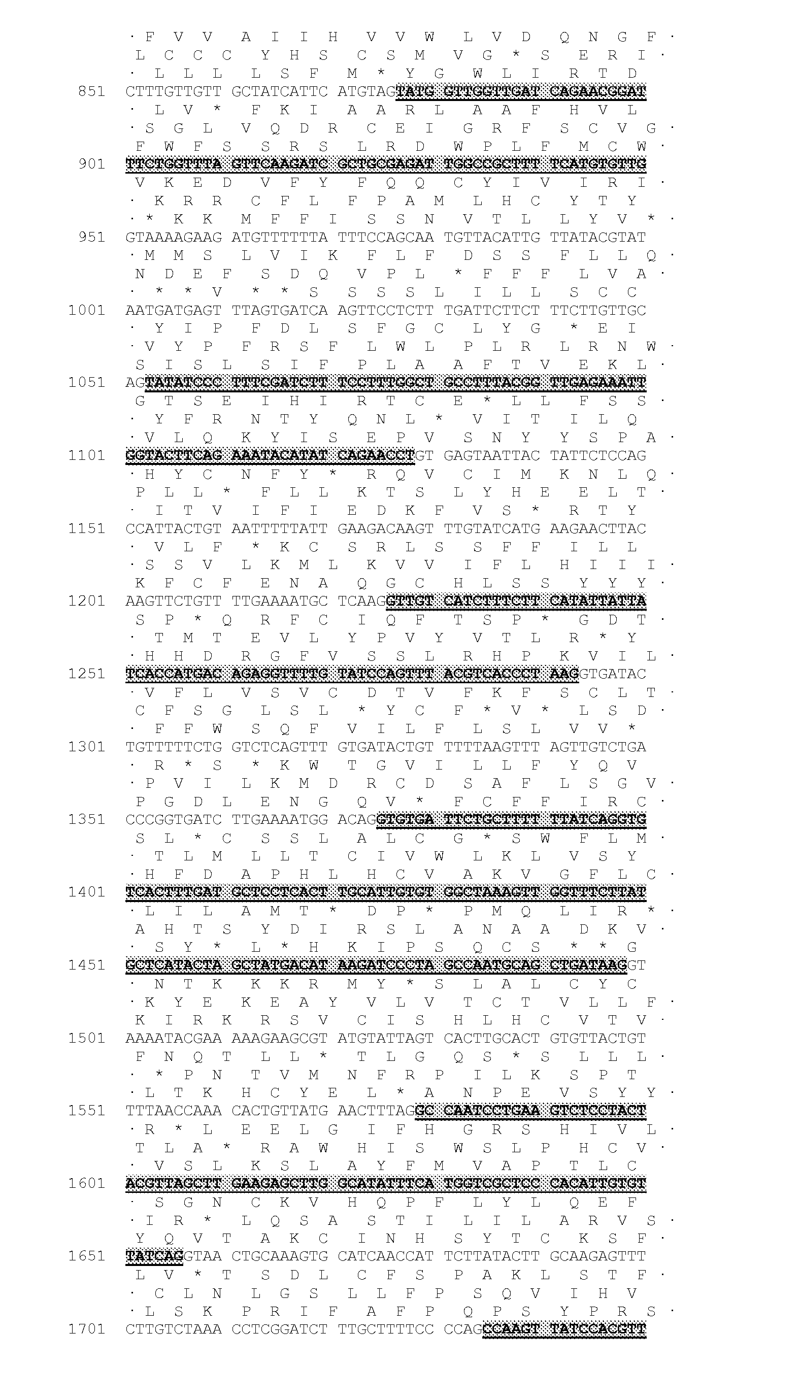 Novel Acyltransferase Polynucleotides, Polypeptides and Methods of Use