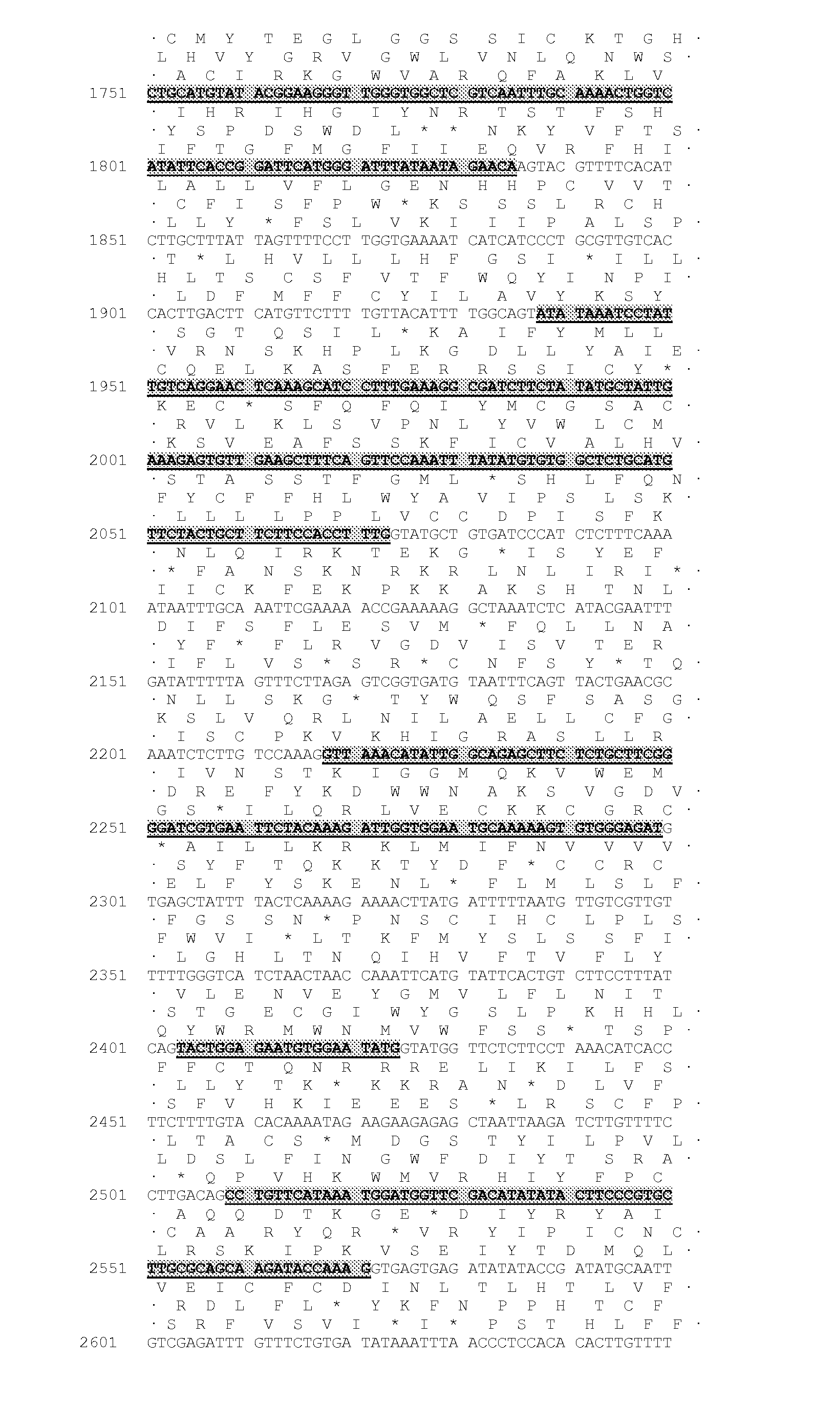 Novel Acyltransferase Polynucleotides, Polypeptides and Methods of Use