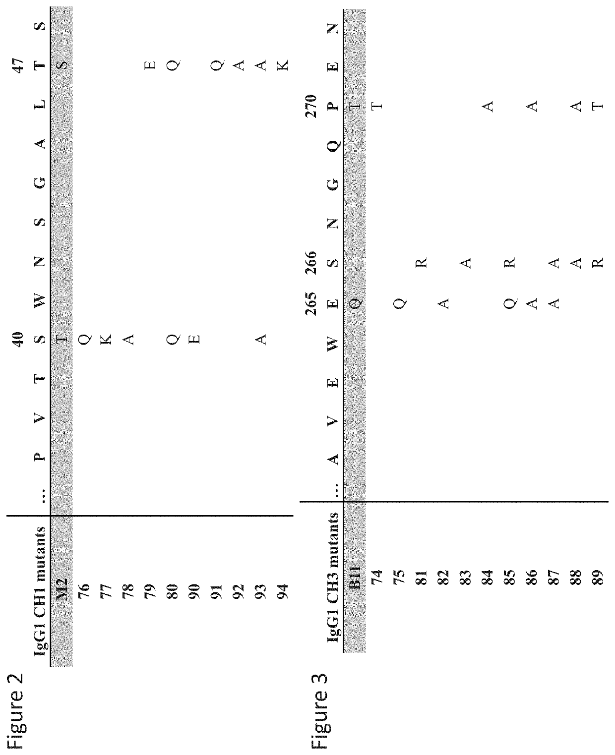 Readily isolated bispecific binding molecules with native format having mutated constant regions