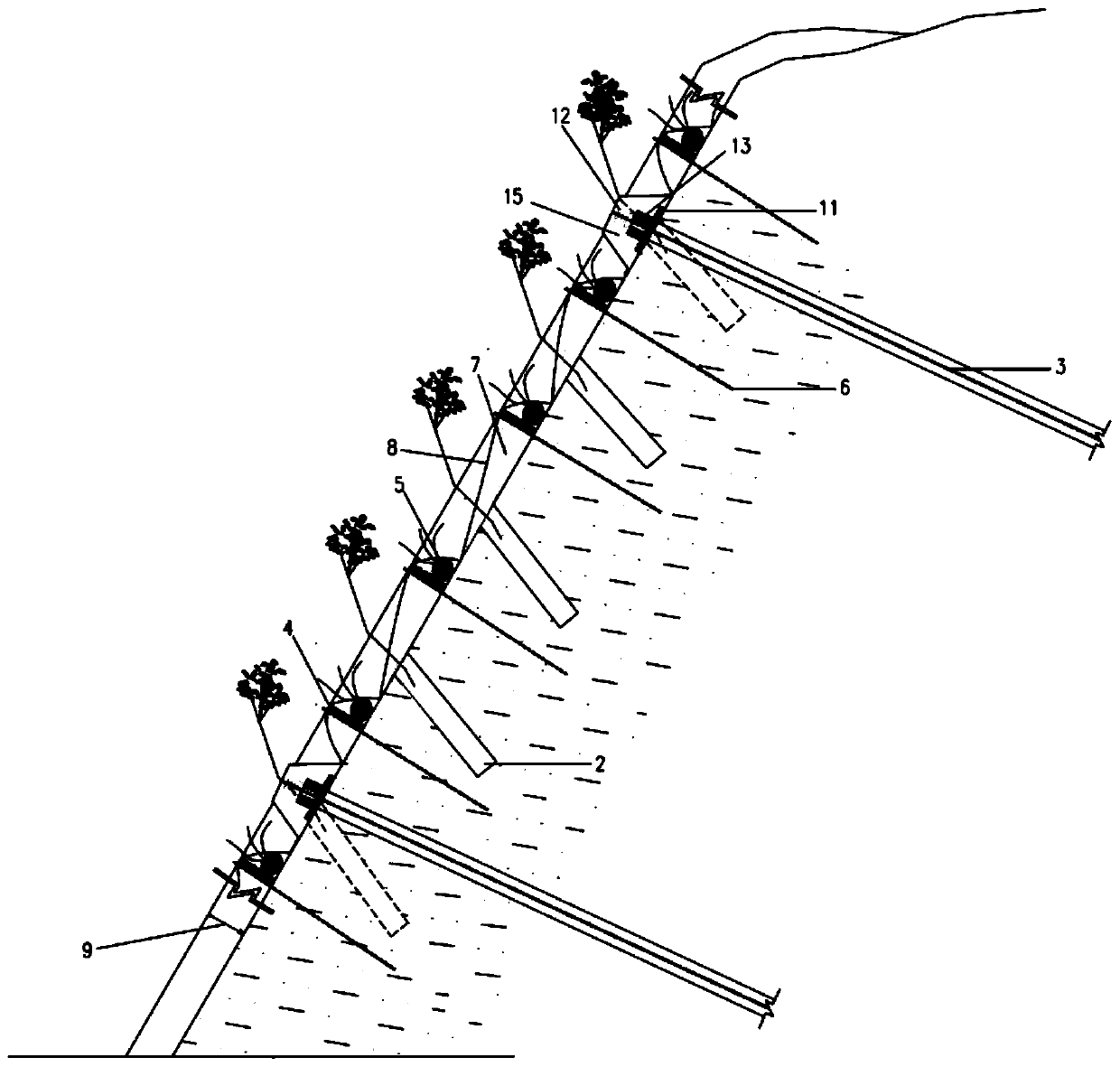 High and steep rock slope greening protection and construction method