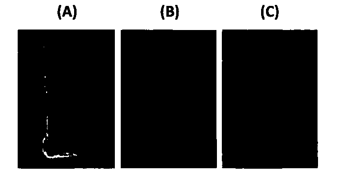 Graphene-polysiloxane composite material and preparation method thereof as well as micro-fluidic chip and application thereof