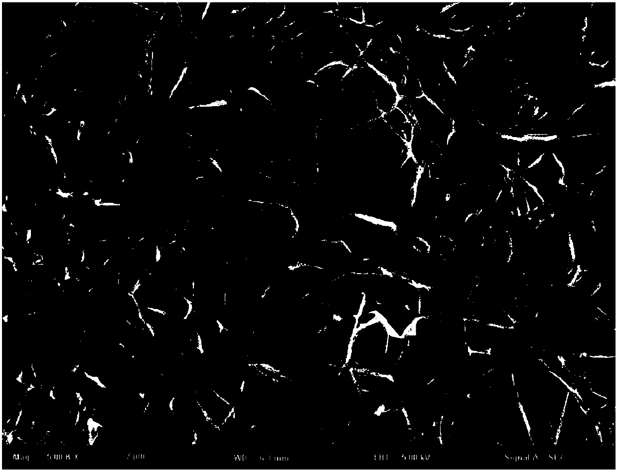 Composite scaffold material and preparation method and application thereof