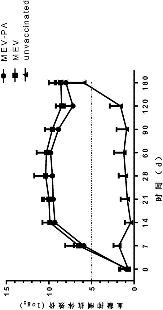 Strains, application of strains, vaccine and preparation method of vaccine