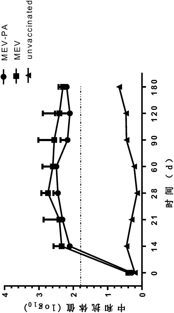 Strains, application of strains, vaccine and preparation method of vaccine