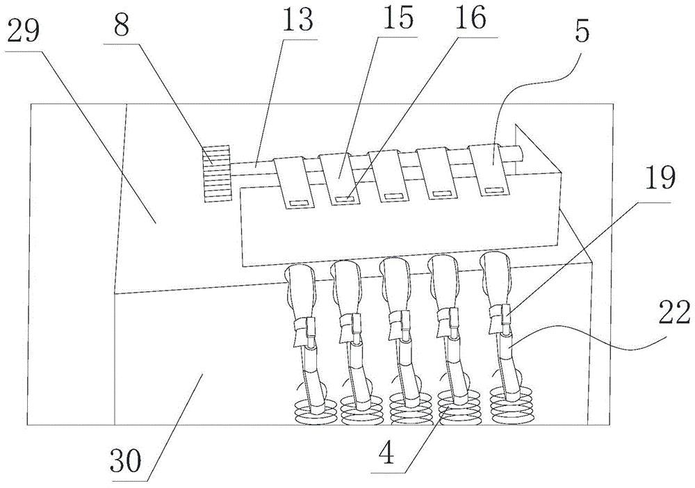 Visual multi-connected sampling system of plankton and use method thereof