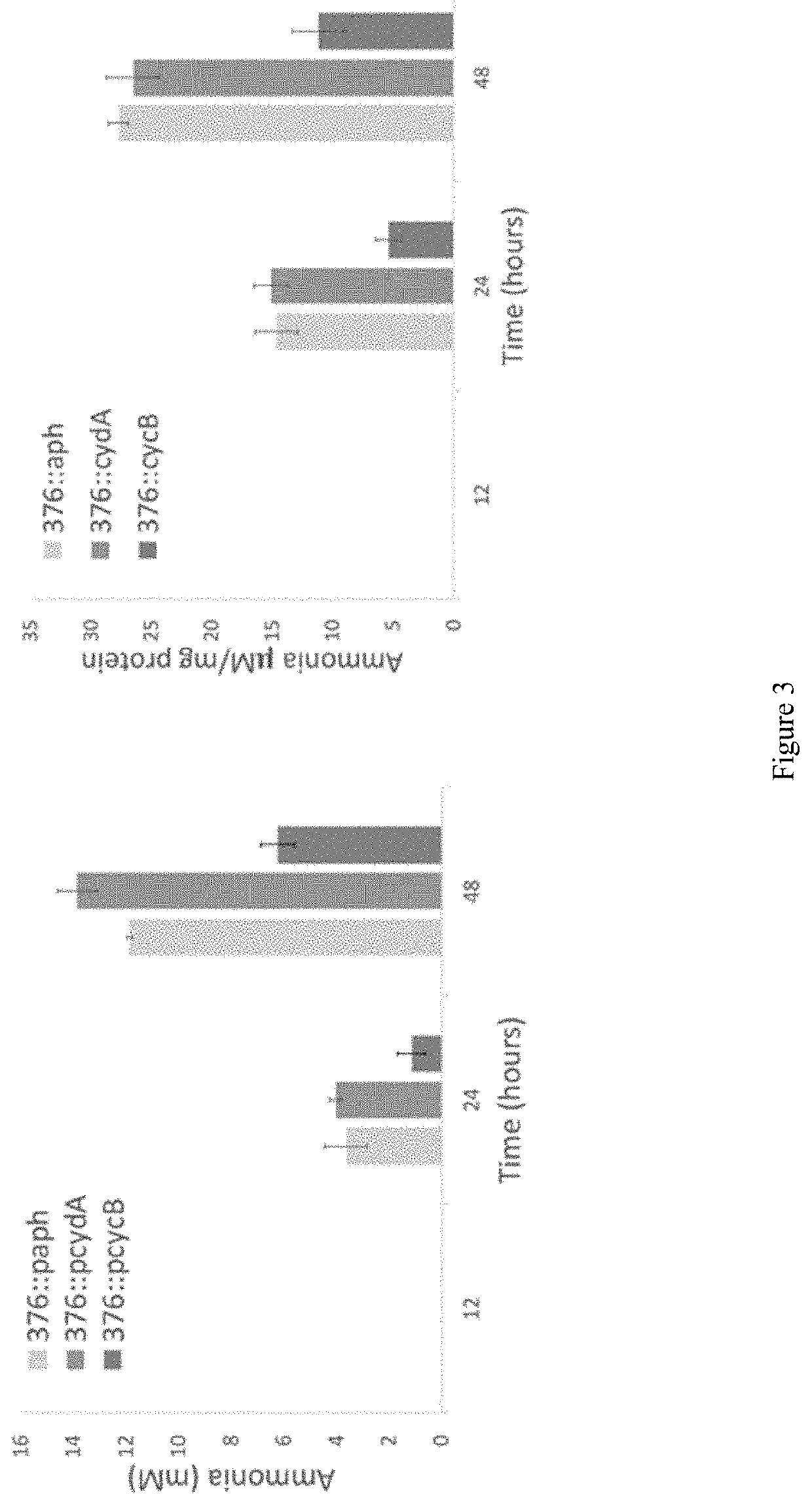 Genetically Modified Nitrogen Fixing Bacteria and Uses Thereof