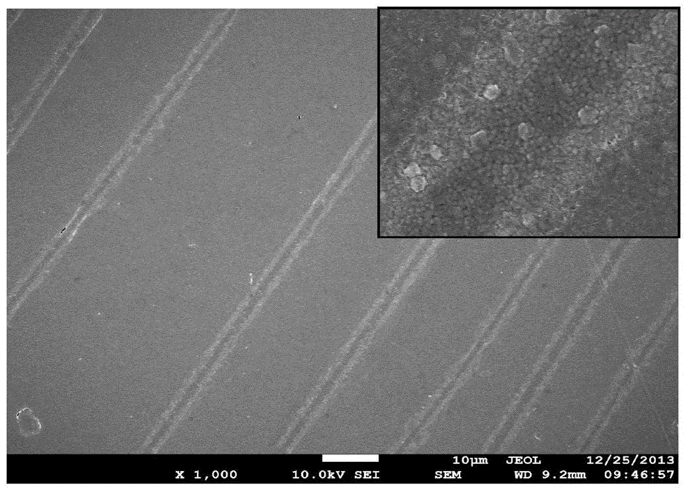 Nerve conduit material having topological structure and modified by CNT/conducting polymer composite coating and preparation method of nerve conduit material