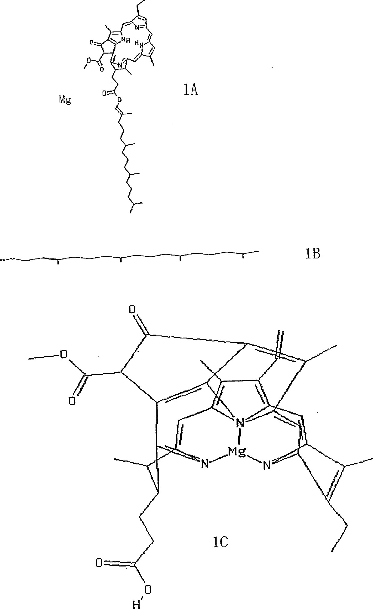 Compositions and methods for enzymatic decolorization of chlorophyll