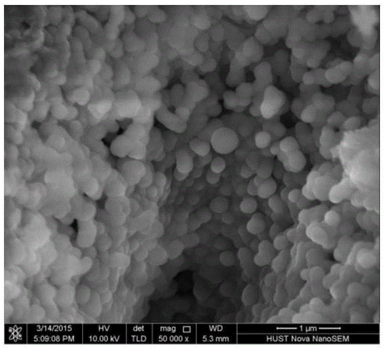 High-valued treatment device and high-valued treatment method for fresh biomass based on microwave hydrothermal carbonization