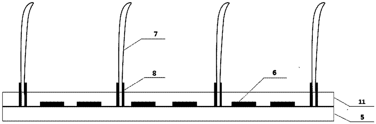 Biotic touch system and multifunctional robot