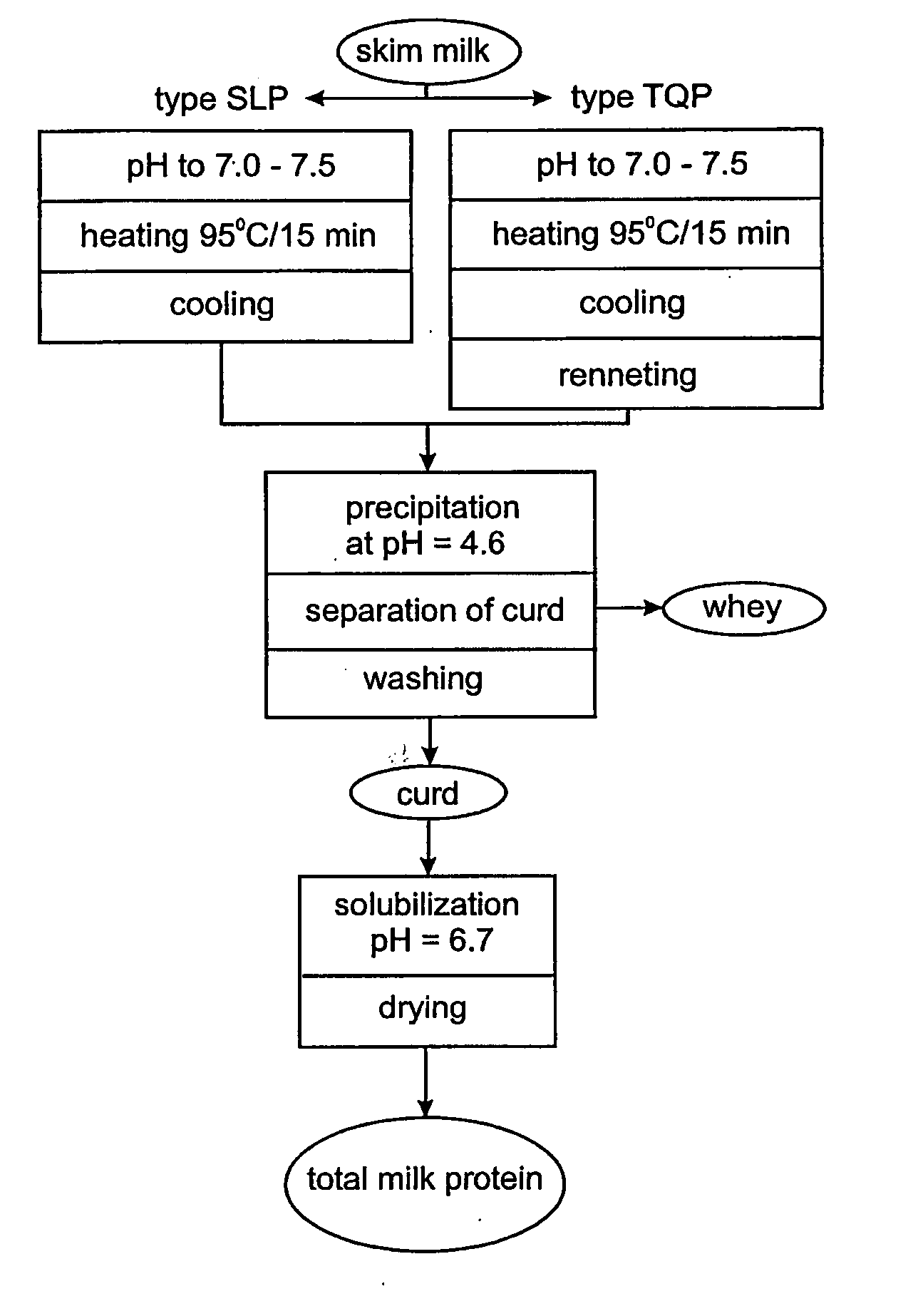 Dairy protein process and applications thereof