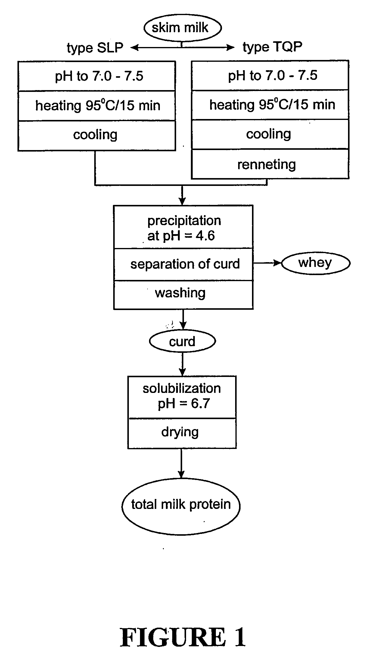 Dairy protein process and applications thereof