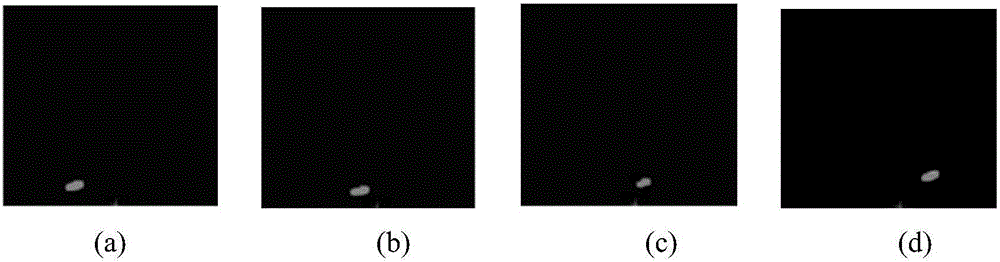 Visible foreign matter and bubble classification recognition detection method for medical (250ml)