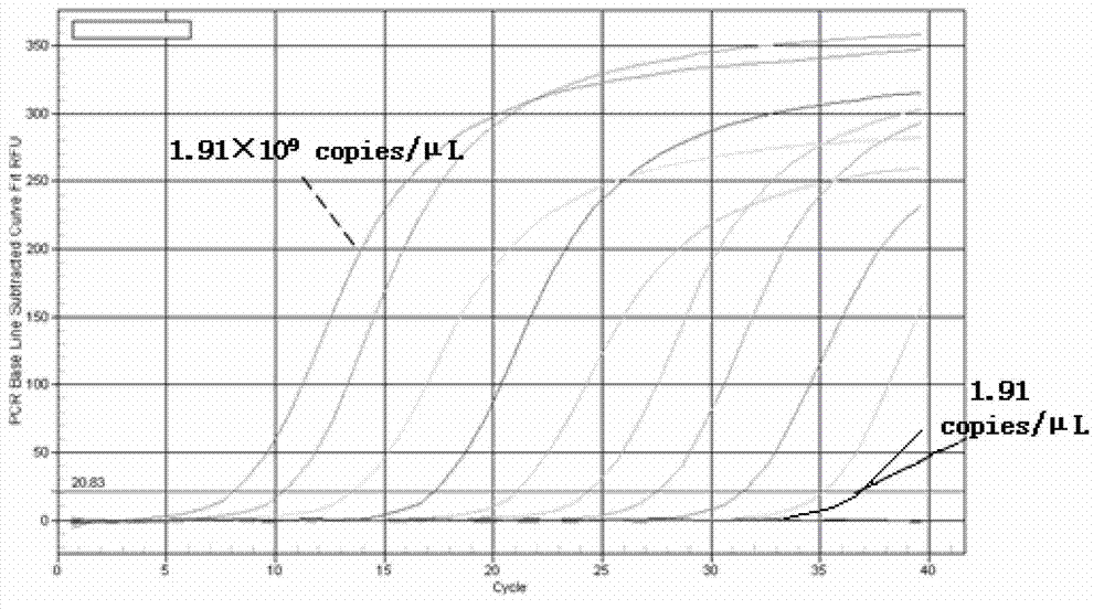 Detection method for CVA16 in environmental water body