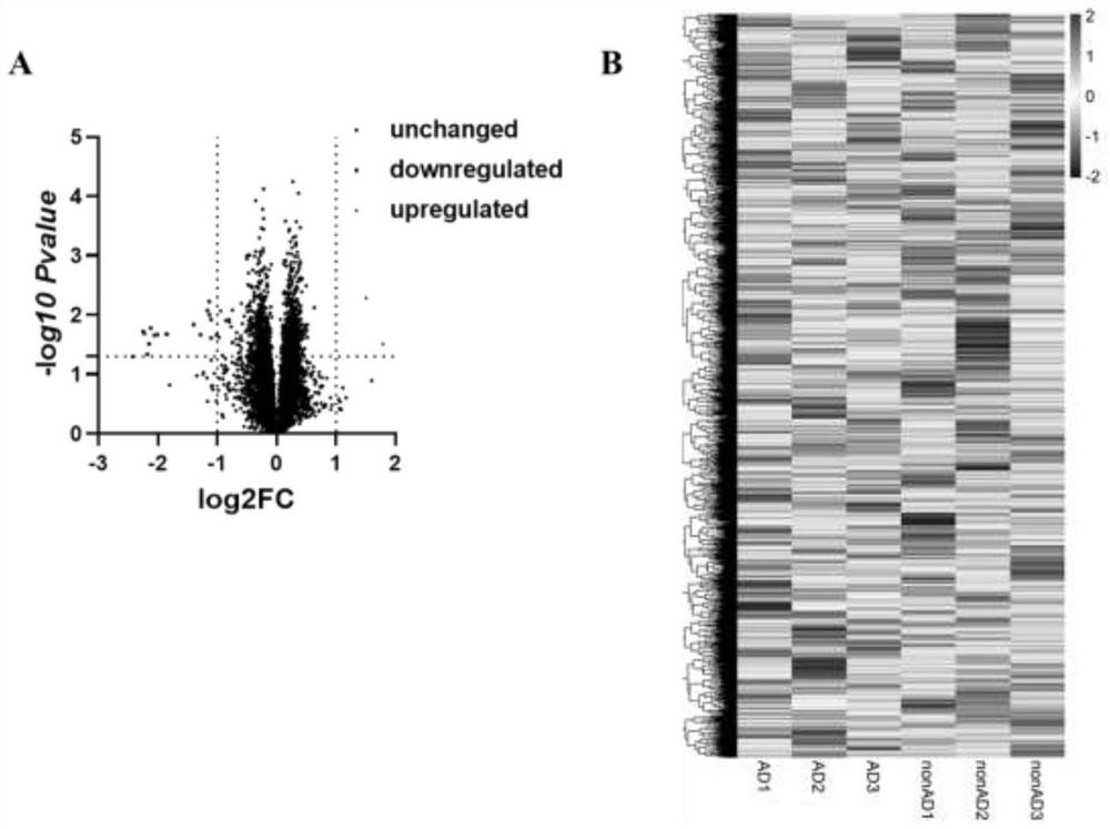 Application of brain cell-derived exosome circular RNA in serum as Alzheimer's disease diagnostic marker