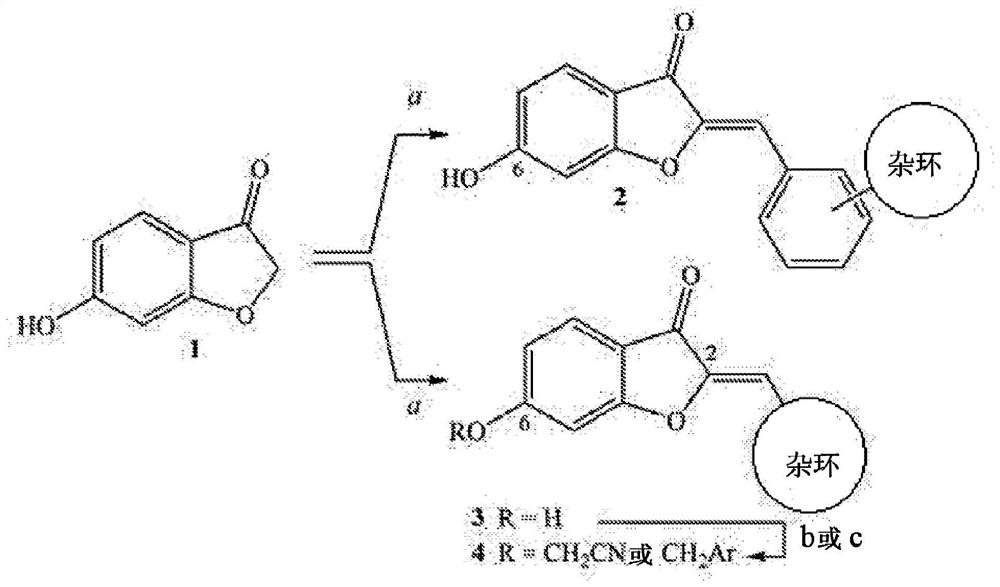 Semisynthetic aurones and methods of use thereof