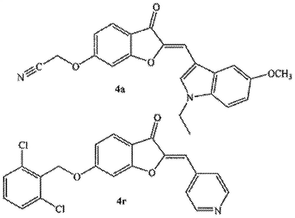 Semisynthetic aurones and methods of use thereof