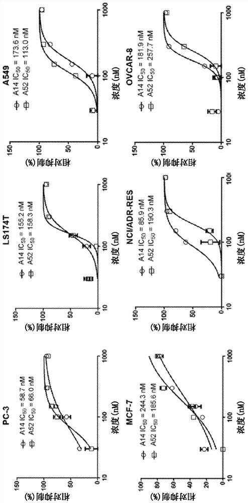 Semisynthetic aurones and methods of use thereof