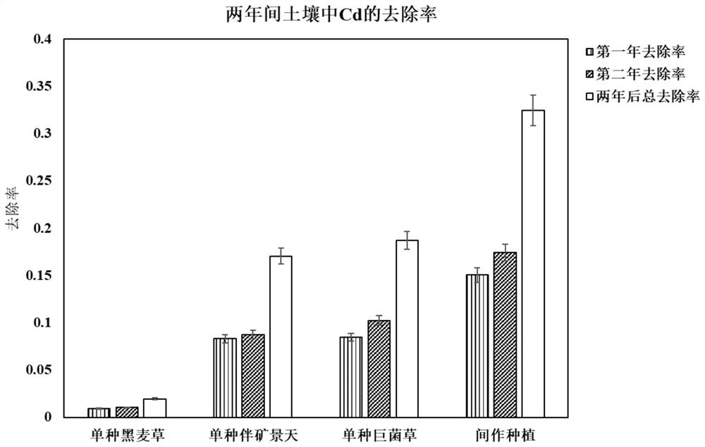 A kind of biological removal method of heavy metal in soil