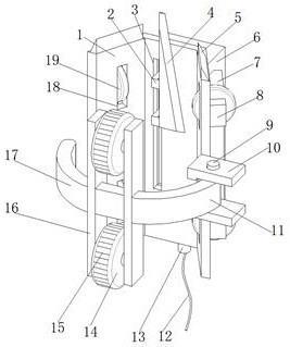 Cedar branch pruning device for forestry