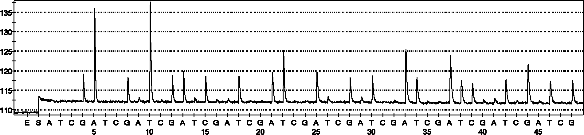 Rapid Fungus detection kit and detection method using same