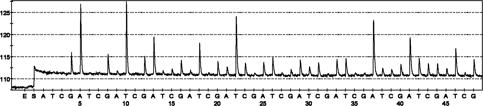 Rapid Fungus detection kit and detection method using same