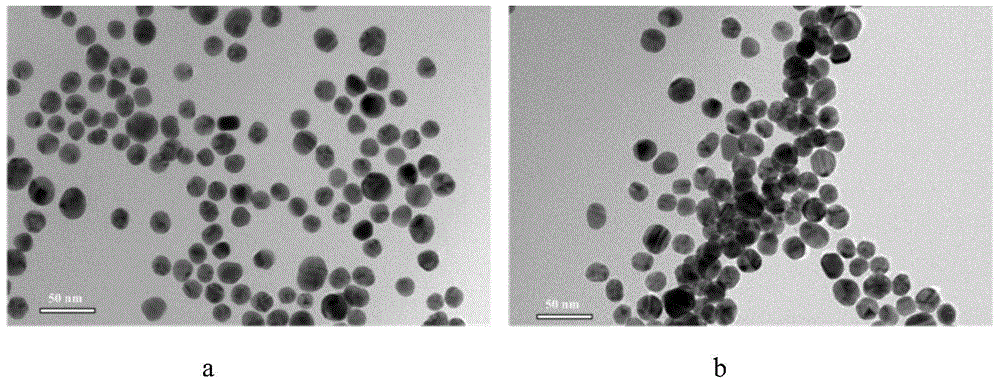 Method for measuring sugar through nanometer gold colorimetry