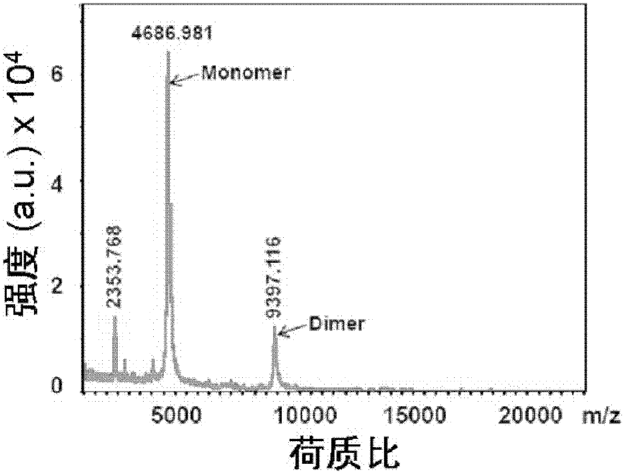 Recombinant human apoE peptide mimics, preparation method and application