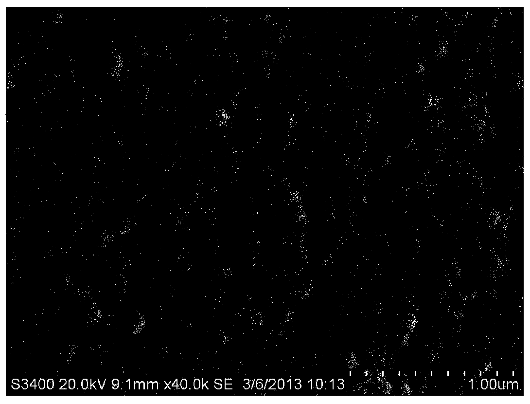 Adsorption film for synchronously fixing various oxygen-containing negative ions and preparation method thereof